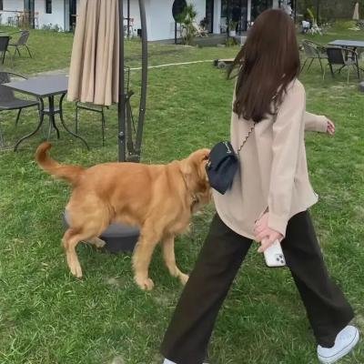不可思议恋曲