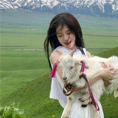 艳阳春水惊鸿